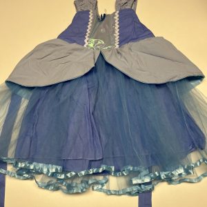 BLAUWE PRINSESSENJURK