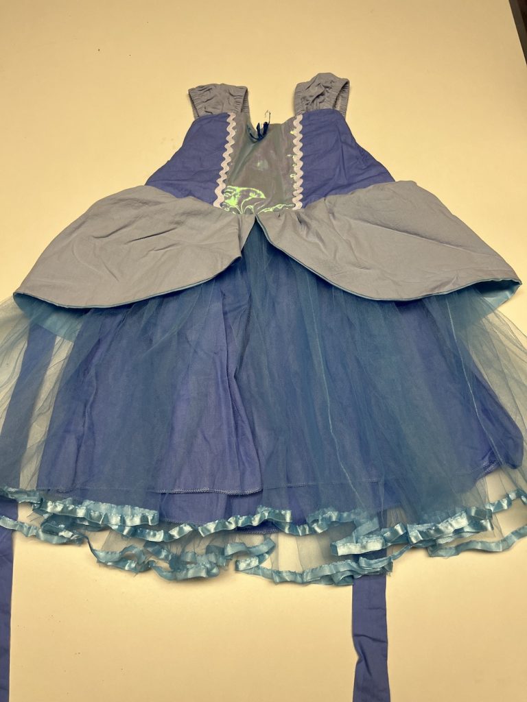 BLAUWE PRINSESSENJURK