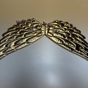 GOUDEN VLEUGELS KIDS